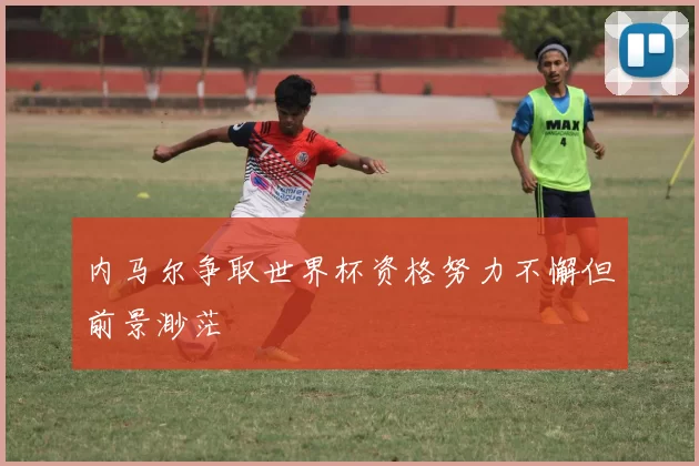 内马尔争取世界杯资格努力不懈但前景渺茫
